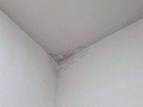 누수탐지 구즉동 누수탐지의 기본 아파트 안방 천장 물자국 원인