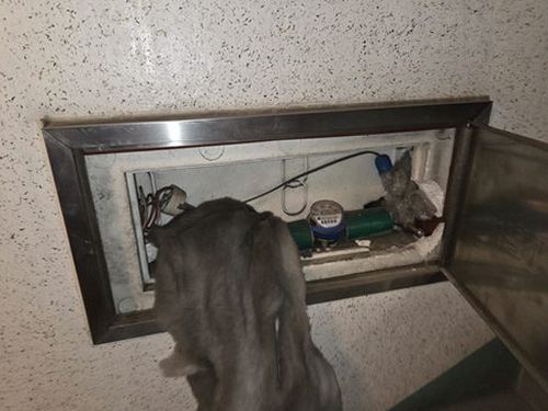 부산 북구 누수탐지 보수 후 벽면 상태와 건조 여부를 확인하는 모습