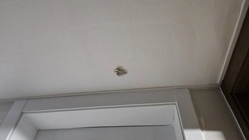 누수탐지 남항동 누수탐지 전 안방 벽지 물방울 자국 점검 항목