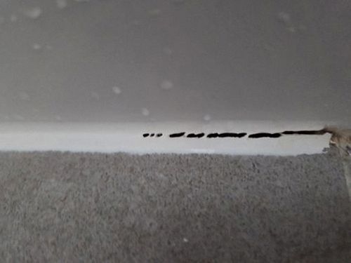 누수탐지 추부면 누수탐지 아래층누수해결 방치 전에 확인할 점