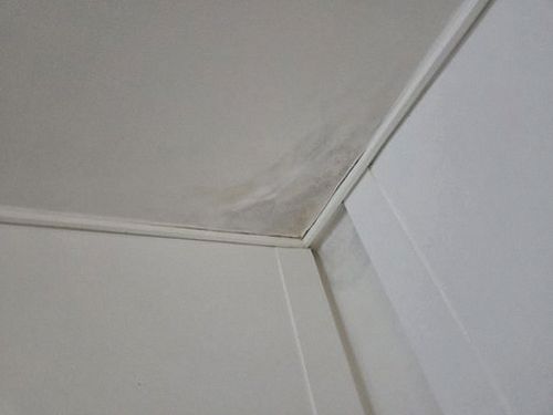 대전 중구 누수탐지 태평동 아파트 11층 안방 천장 시공 후기 사진
