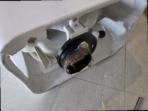 부산 북구 누수탐지 만덕동 상가 1층 천장 안쪽 시공 후기 사진