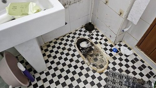 누수탐지 배관 주변과 배수구 상태를 차례로 점검하는 장면