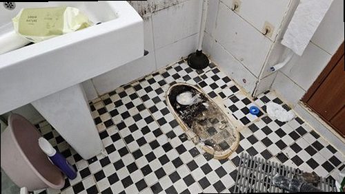 청주시 청원구 누수탐지 내수읍 빌라 2층 욕실 바닥 시공 후기 사진