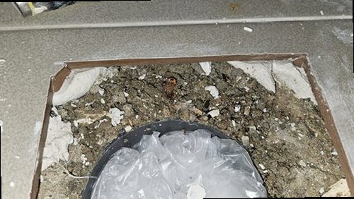 부산 동구 누수탐지 초량동 단독주택 1층 현관 앞 매설 배관 시공 후기 사진