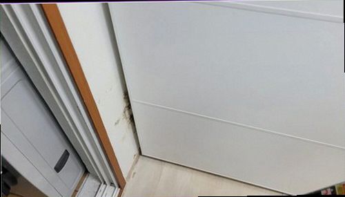 누수탐지 중1동 누수탐지 누수찾기 원인부터 복구까지 깔끔하게 끝내기