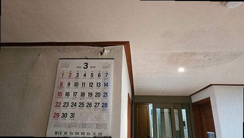 금산군 누수탐지 천장 누수