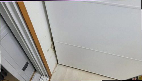 부산 남구 누수탐지 배관 주변 수분 상태를 확인하는 전문 장비 점검
