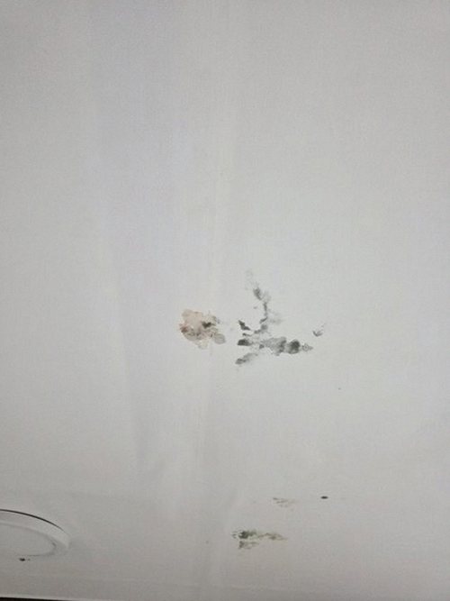 누수탐지 수정동 누수탐지 안방천장누수 대처 두 가지 방식 비교