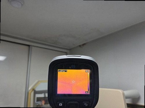 부산 중구 함께 확인 부산 중구 함께 확인