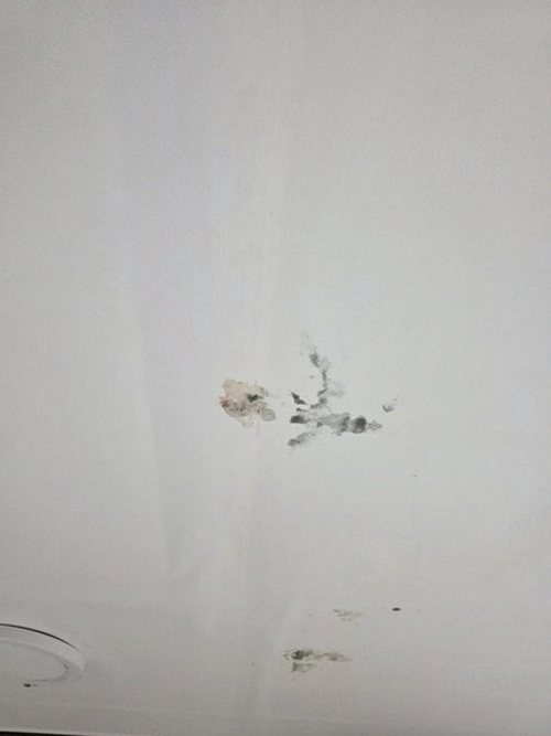 누수탐지 장안읍 누수탐지 아파트 안방 누수 원인 당일 확인 방법