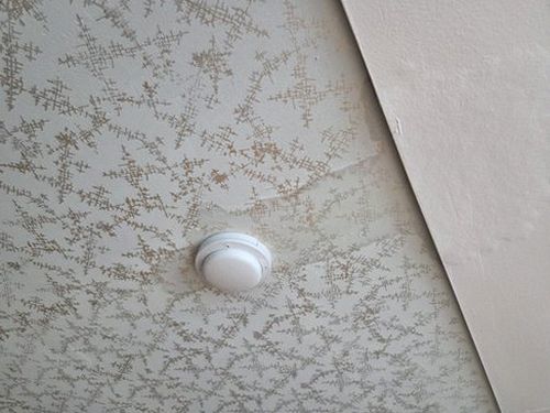 누수탐지 부곡동 천장 얼룩 뒤에 숨은 누수탐지 단서