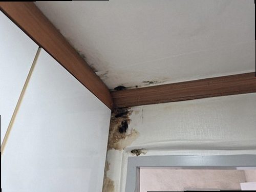 영통구 누수탐지 이의동 아파트 15층 안방 창가 시공 후기 사진