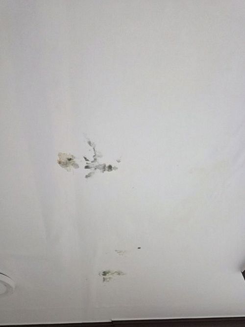 누수탐지 개금동 누수탐지 누수피해 원인 찾아 해결까지 본 과정