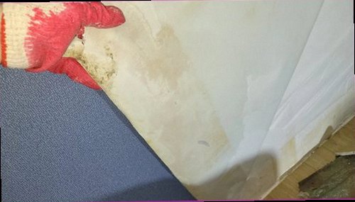 금산군 누수탐지 천장과 벽면에 나타난 누수 흔적을 확인하는 현장