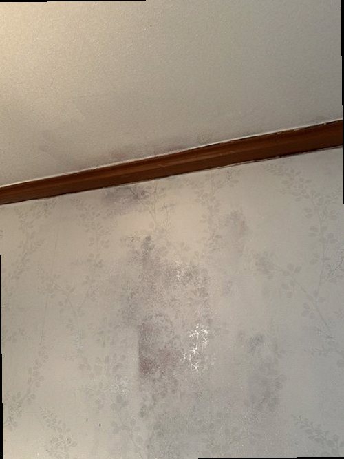 대덕구 누수탐지 목상동 아파트 6층 작은방 바닥 시공 후기 사진