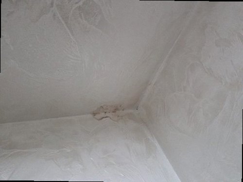 부산 강서구 누수탐지 신호동 아파트 1층 다용도실 외벽 시공 후기 사진