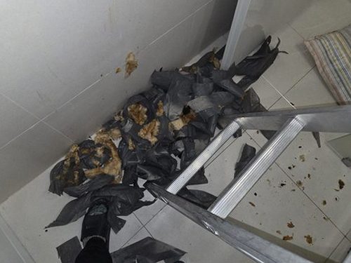 누수탐지 남천동 아파트 거실 누수곰팡이흔적 사례 분석