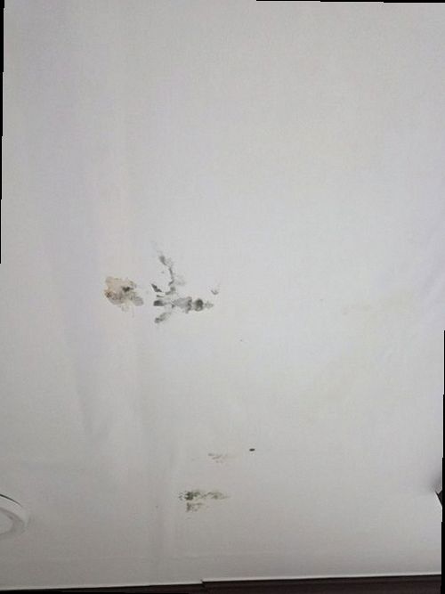 청주시 청원구 누수탐지 율량동 아파트 8층 안방 시공 후기 사진