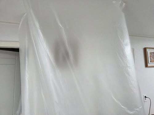 대전 동구 현장 확인