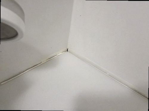 누수탐지 홍도동 천장누수, 누수탐지 점검 순서 안내