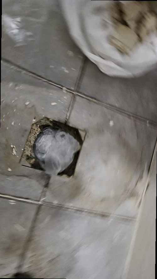 대전 동구 누수탐지 대동 다가구주택 1층 욕실 벽면 시공 후기 사진