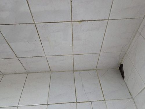 누수탐지 대사동 누수탐지 욕실천장배관물샘 육안 확인과 정밀 진단 비교