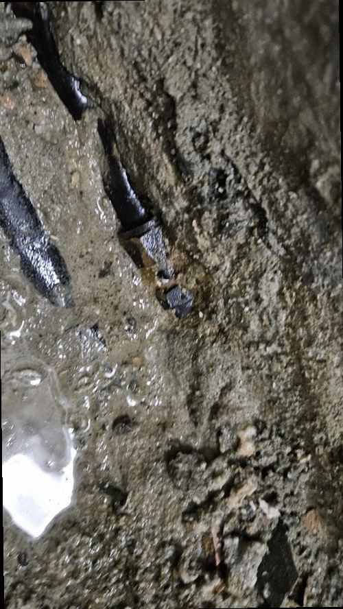 누수탐지 노은3동 누수탐지 벽지물기변색 흔적부터 원인까지 깔끔한 해결