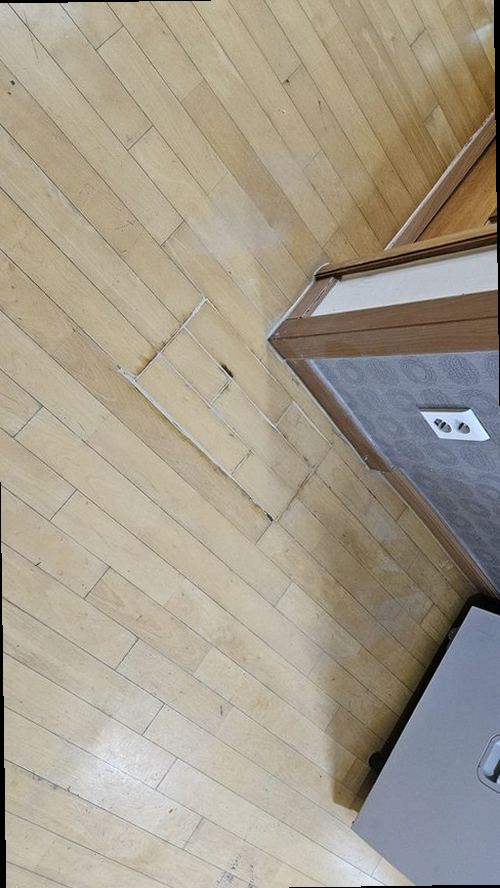 유성구 현장 확인