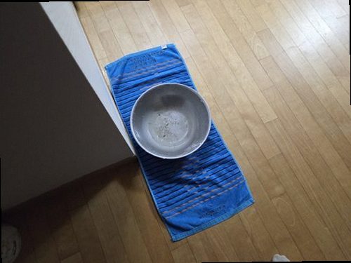 부산 남구 현장 확인