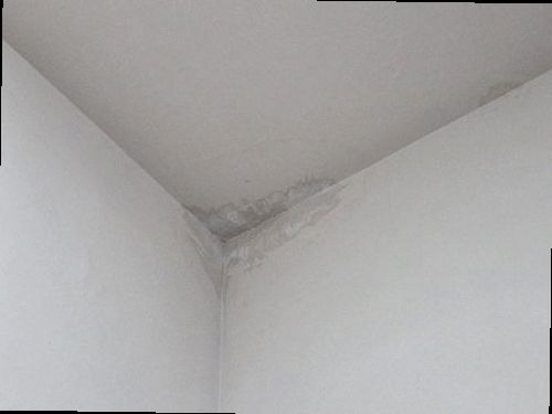 미세누수 정밀탐지 부산 북구 누수탐지 미세누수 정밀탐지