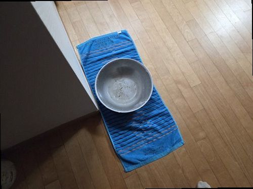 부산진구 현장 확인