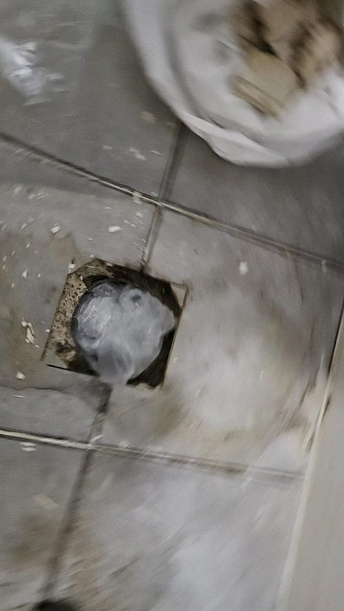 누수탐지 배관과 천장 내부의 의심 구간을 단계별로 확인하는 모습