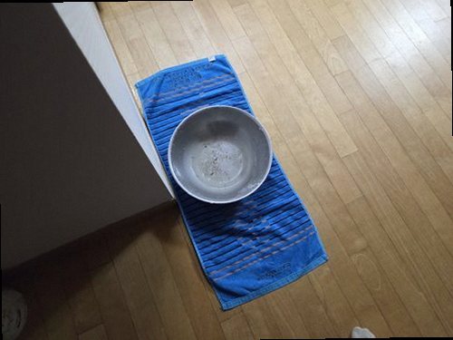 청주시 서원구 누수탐지 개신동 아파트 5층 거실 바닥 시공 후기 사진
