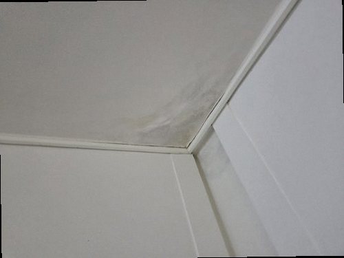 미세누수 정밀탐지 청주시 서원구 누수탐지 미세누수 정밀탐지