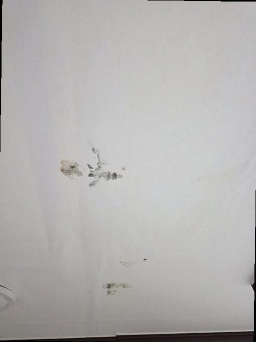 부산 남구 누수탐지 석포동 아파트 9층 안방 바닥 시공 후기 사진