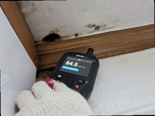 해운대구 현장 작업