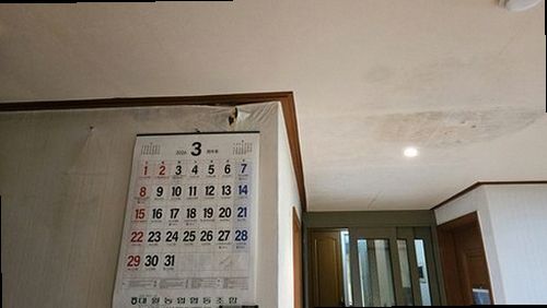 누수탐지 거실 천장 얼룩과 벽면 물자국을 확인하는 현장 조사 모습