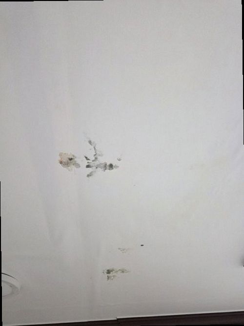 대전 서구 현장 작업