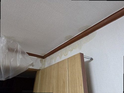 해운대구 전화 연결 해운대구 전화 연결