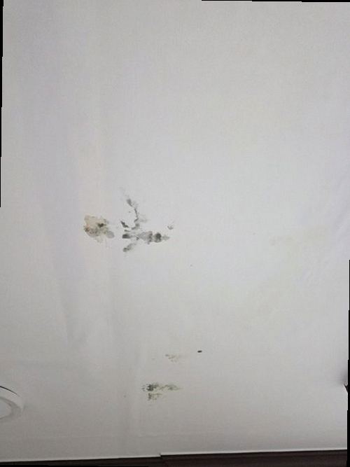 수영구 누수탐지 광안동 빌라 2층 욕실 앞 거실 시공 후기 사진
