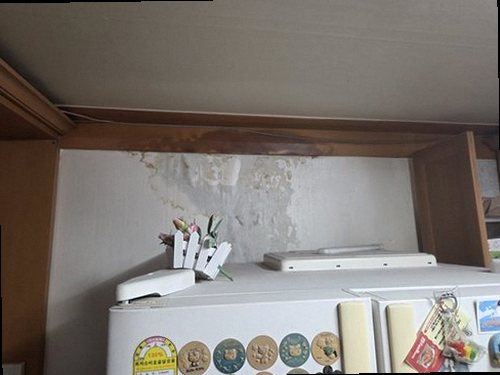 대전 중구 전화 연결 대전 중구 전화 연결