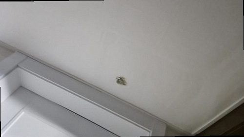 부산 서구 완료 점검 부산 서구 완료 점검