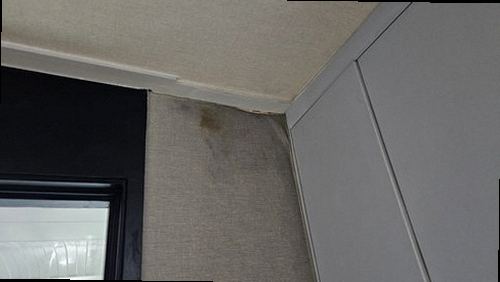 부산진구 완료 점검 부산진구 완료 점검