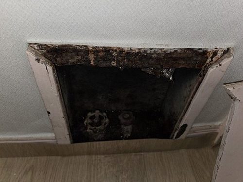 누수탐지 장안읍 누수탐지 안방 벽지 물방울 자국 처음 살피는 기준