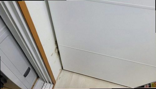 누수탐지 중앙동 누수탐지 안방천장물맺힘 놓치기 쉬운 점검 포인트 5가지
