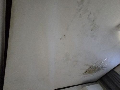 누수탐지 장림동 누수탐지 누수증상확인이란 무엇인가 기본 정리