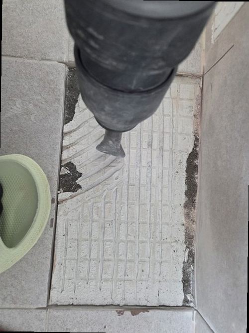 금천구 현장 확인