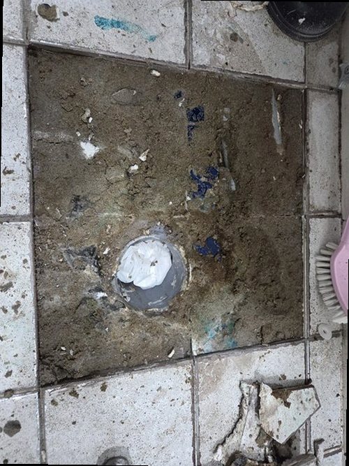 대전 서구 현장 확인