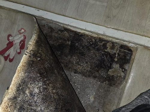 유성구 누수탐지 구암동 아파트 6층 거실 벽면 시공 후기 사진